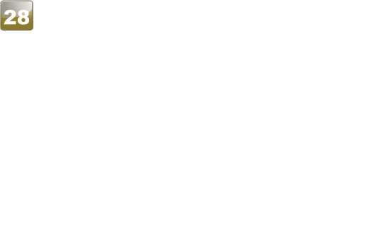 28